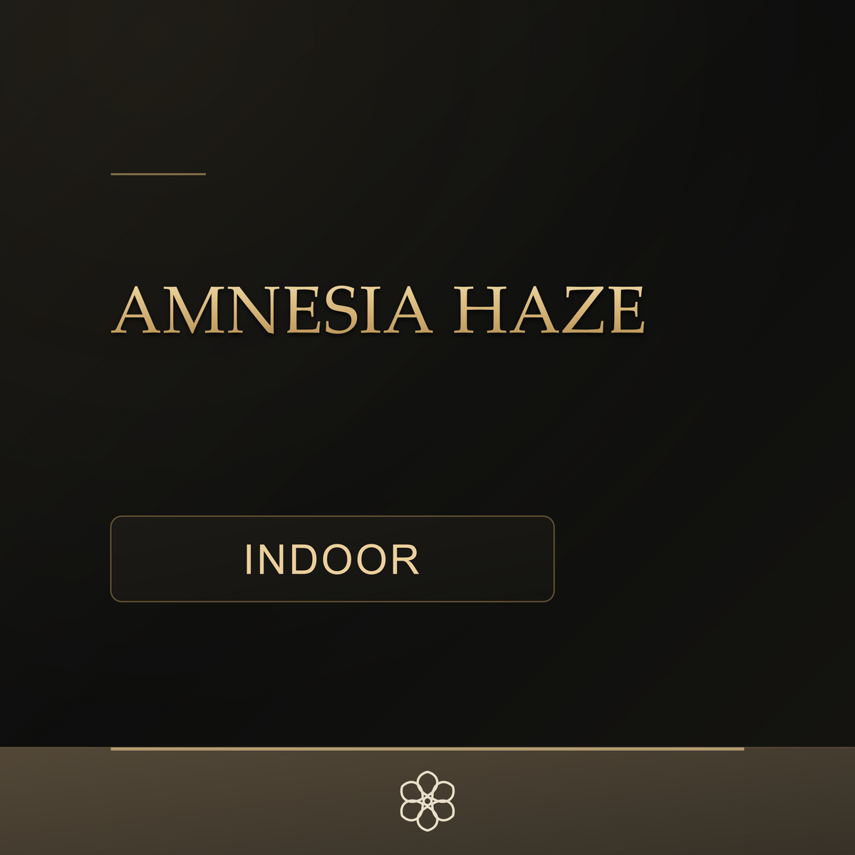 Amnesia Haze Hydroponica CBD