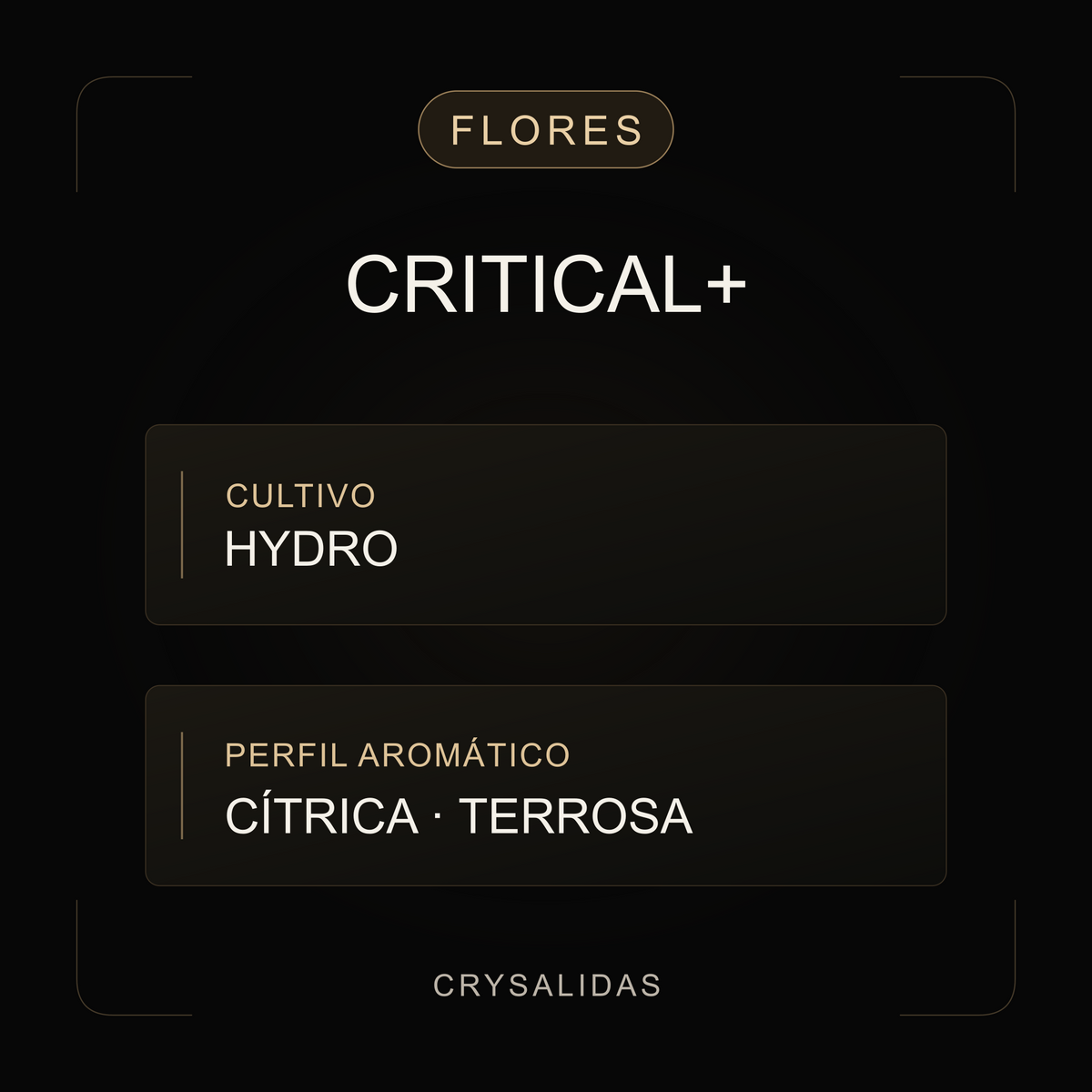 Critical+ Hydroponica CBD