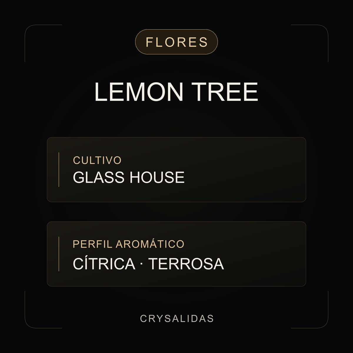 Lemon Tree Glasshouse Premium CBD