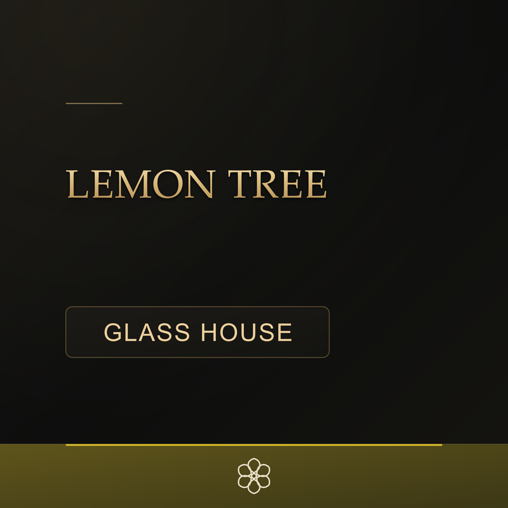 Lemon Tree Glasshouse Premium CBD