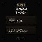 Banana Smash Greenhouse CBD