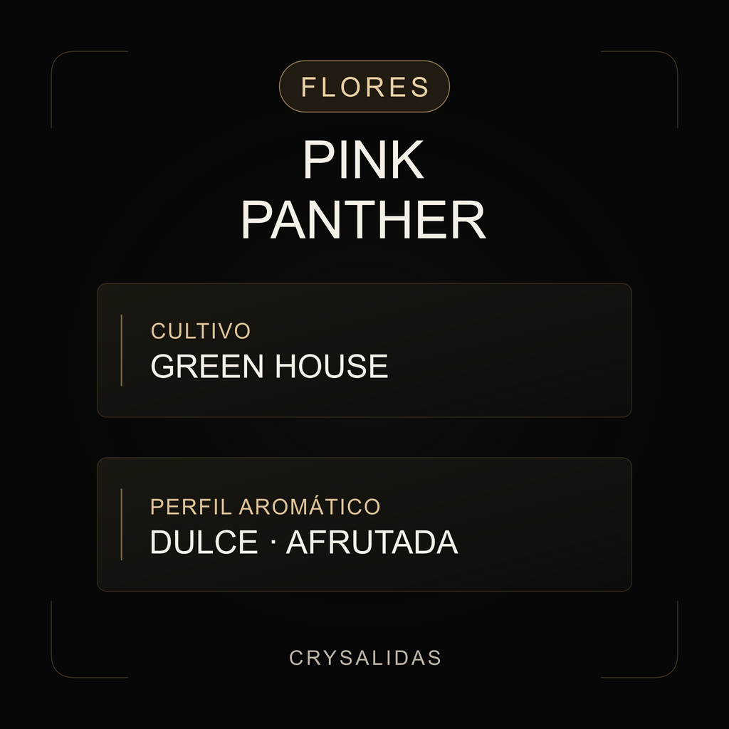 Pink Panther Greenhouse CBD