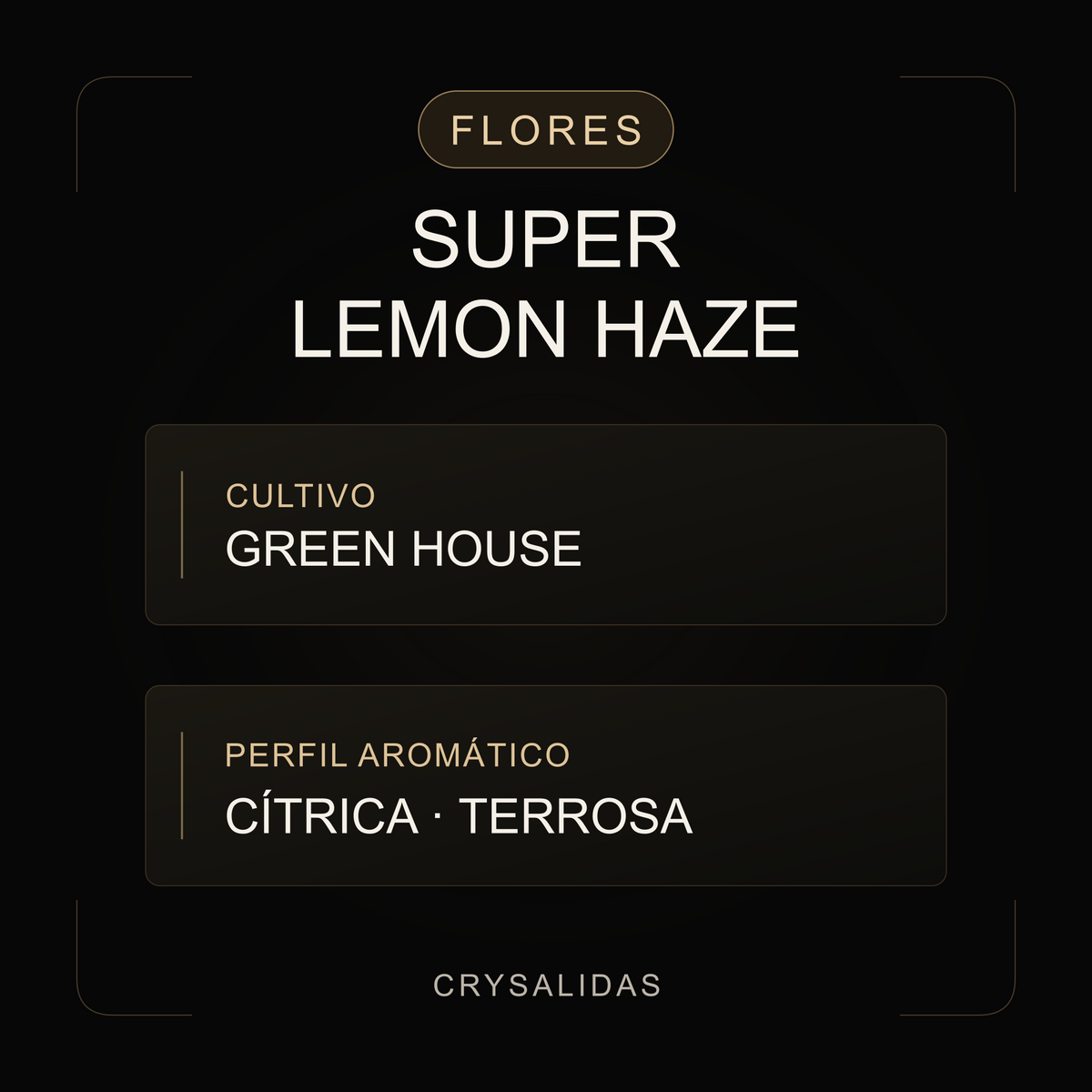 Super Lemon Haze Greenhouse CBD