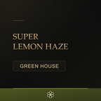 Super Lemon Haze Greenhouse CBD