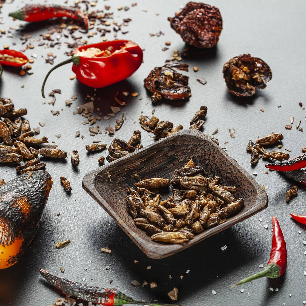 Insectos Comestibles Tostados (Caja de regalo)
