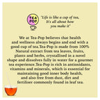Tea-Pop · Infusiones de frutas y hierbas (6 ud.)
