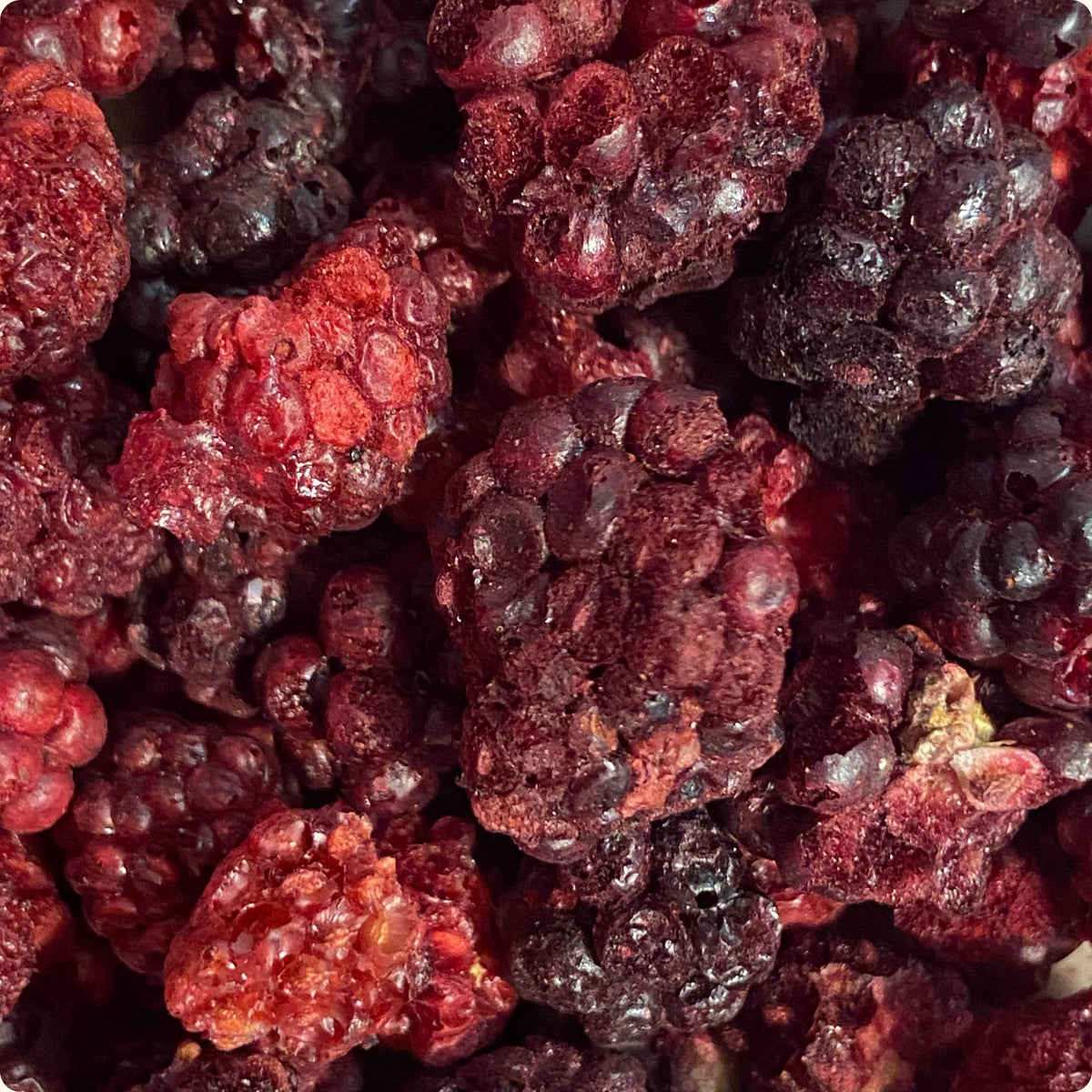 Moras Liofilizadas