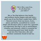 Tea-Pop · Mezclas de Invierno (6 ud.)