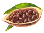 Galletas de Cacao & Chocolate Negro