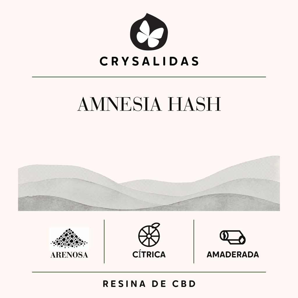 Amnesia Hash