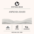 Amnesia Hash