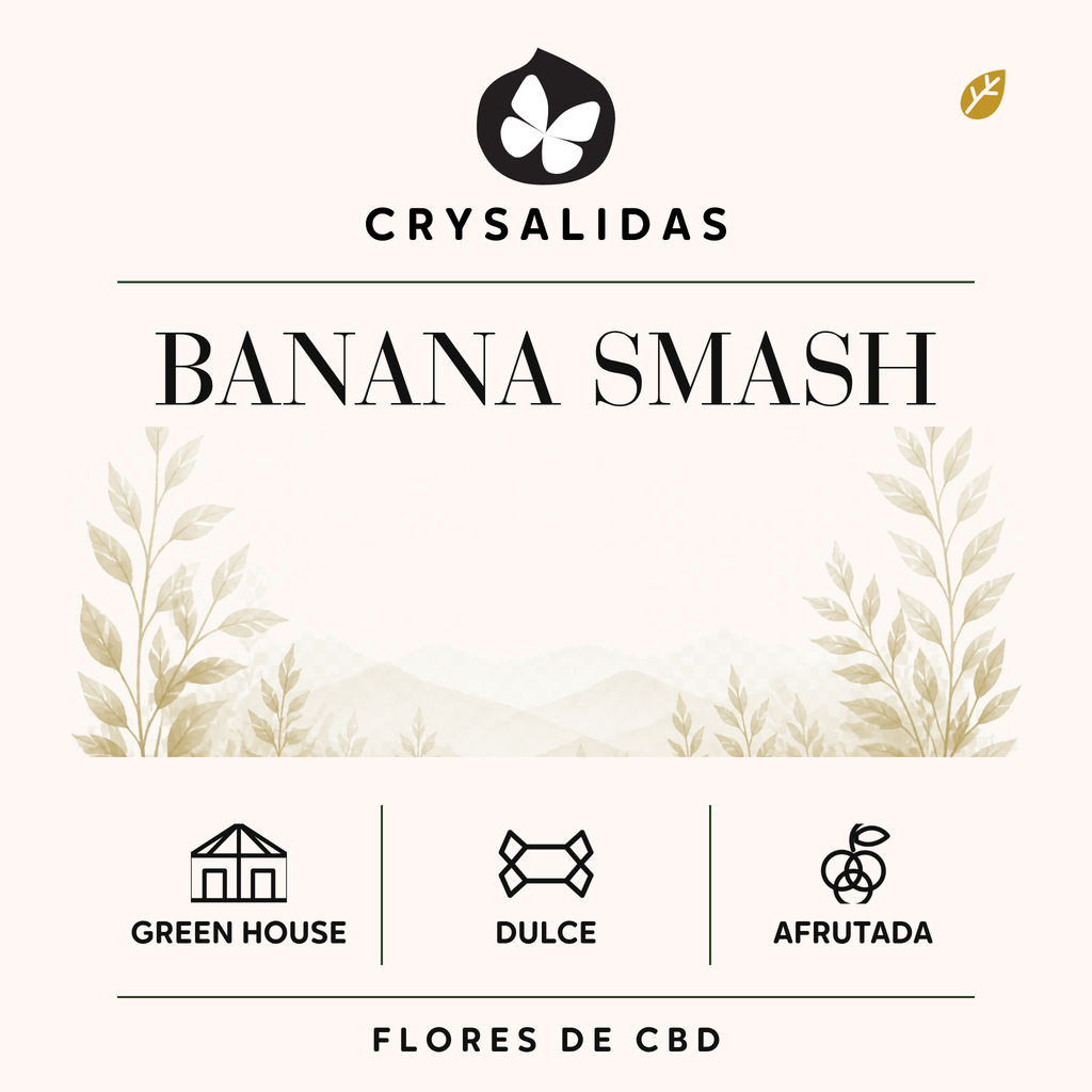 Banana Smash Greenhouse CBD