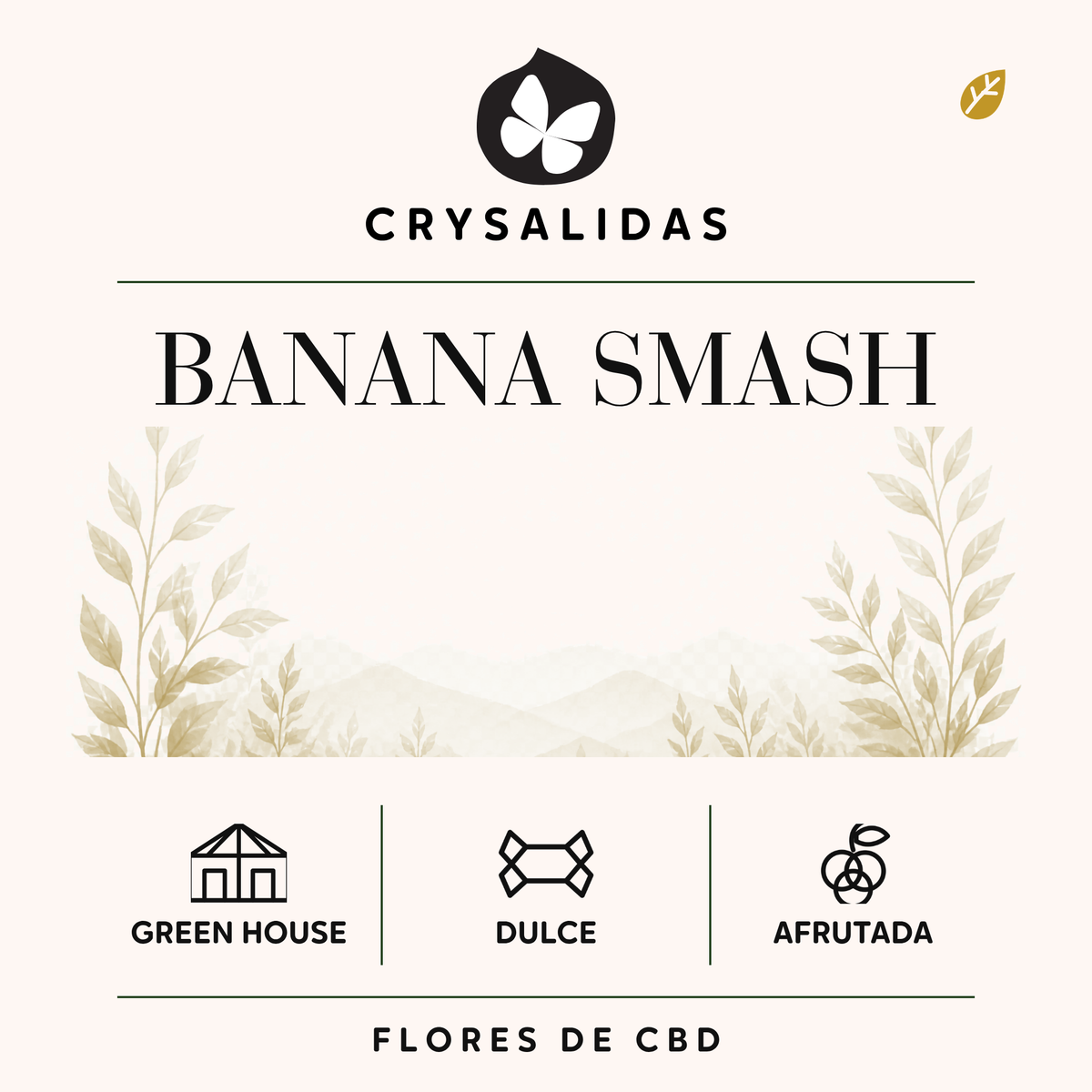 Banana Smash Greenhouse CBD