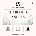 Charlottes Angels Hydroponic CBD