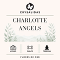 Charlottes Angels Hydroponic CBD