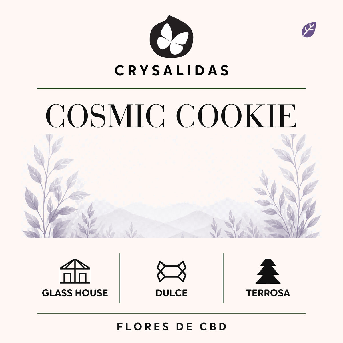 Cosmic Cookie Glasshouse (Small Buds)