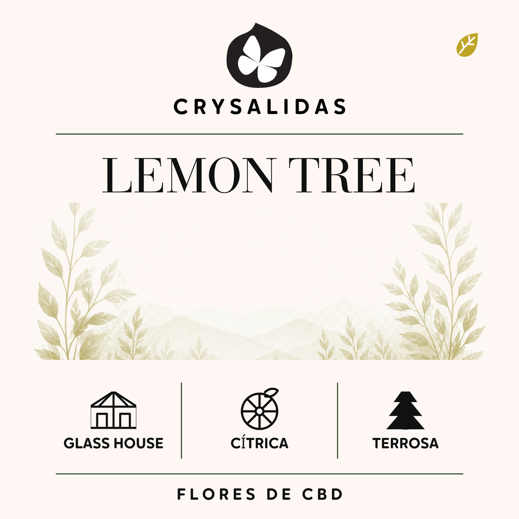 Lemon Tree Glasshouse Premium CBD