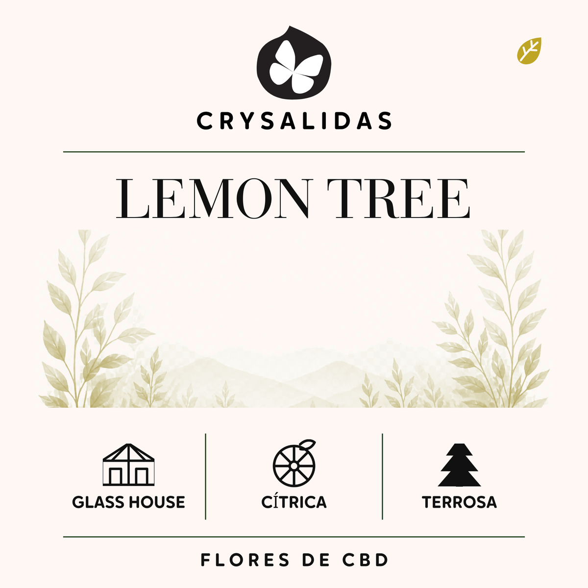 Lemon Tree Glasshouse Premium CBD