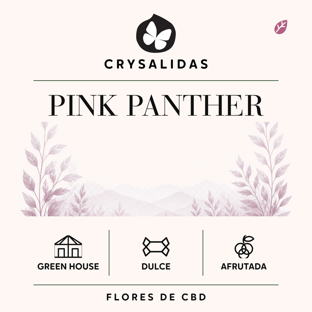 Pink Panther Greenhouse CBD