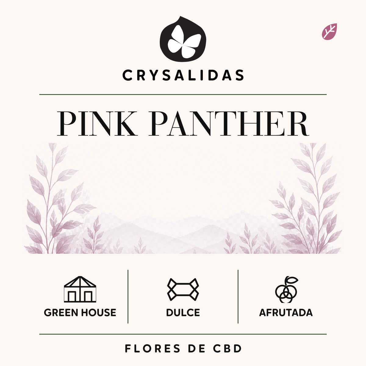 Pink Panther Greenhouse CBD