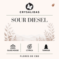 Sour Diesel Glasshouse (Small Buds)