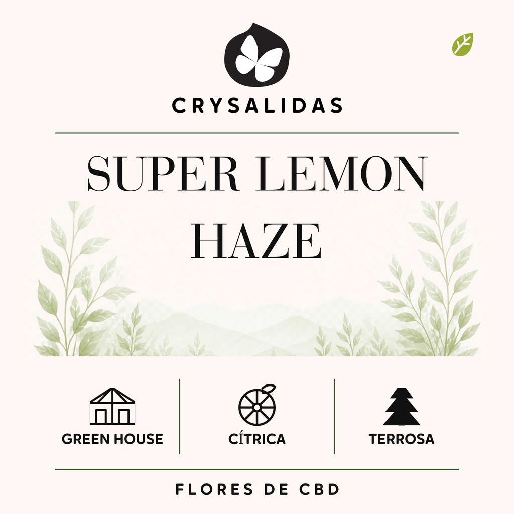 Super Lemon Haze Greenhouse CBD