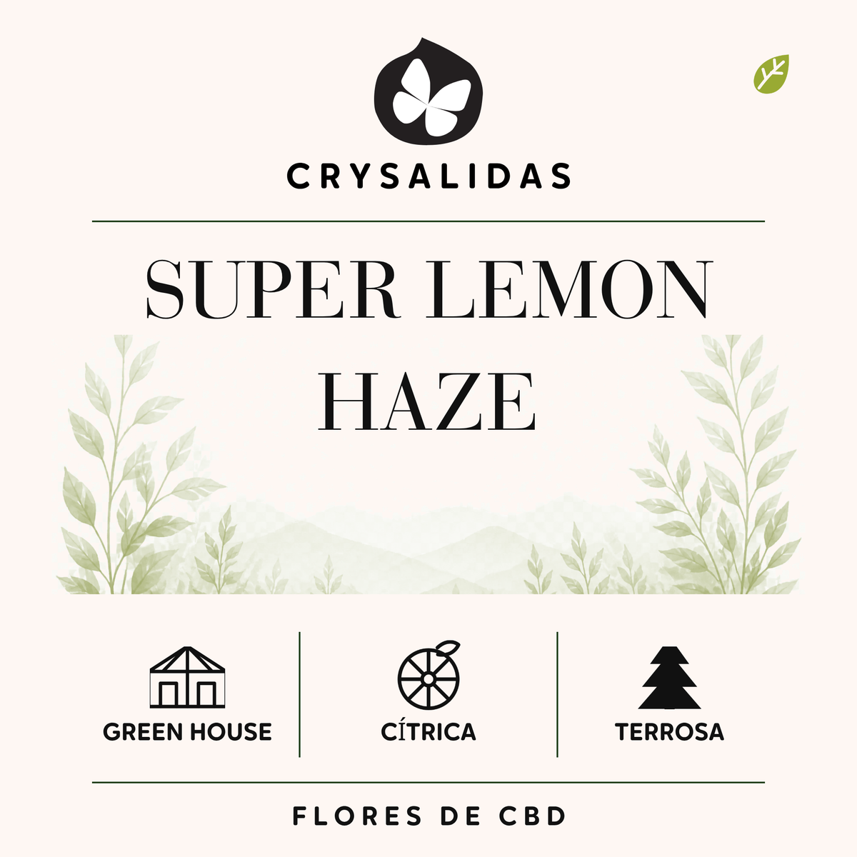 Super Lemon Haze Greenhouse CBD