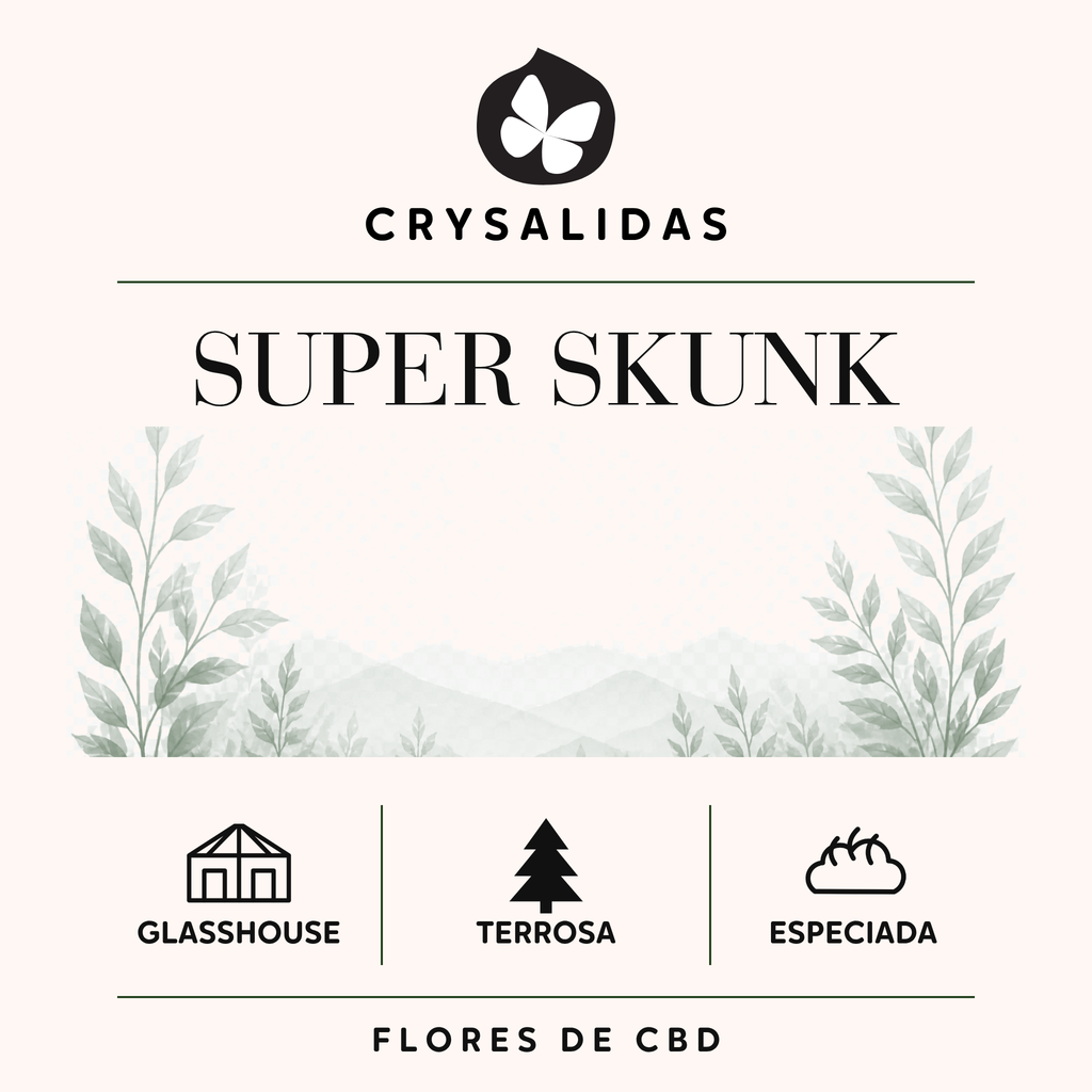 Super Skunk Glasshouse (Small Buds)