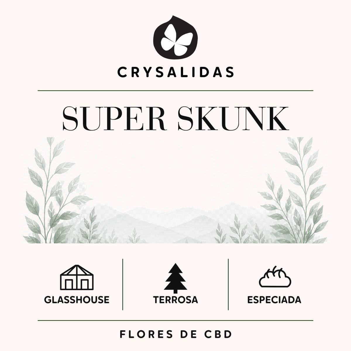 Super Skunk Glasshouse (Small Buds)