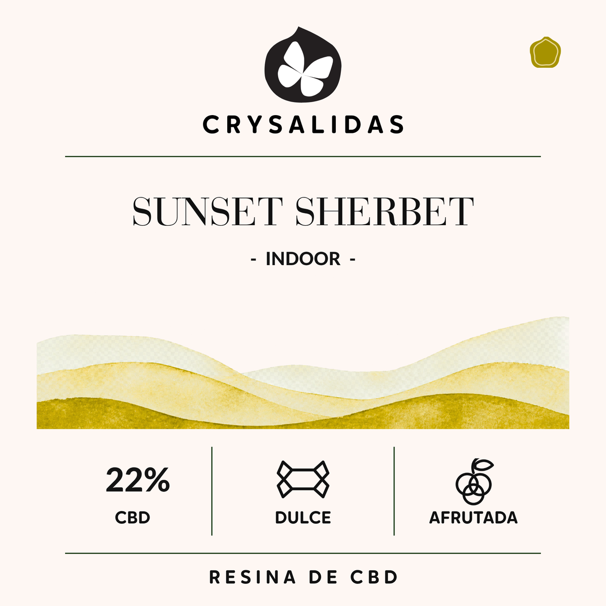 Sunset Sherbet Indoor
