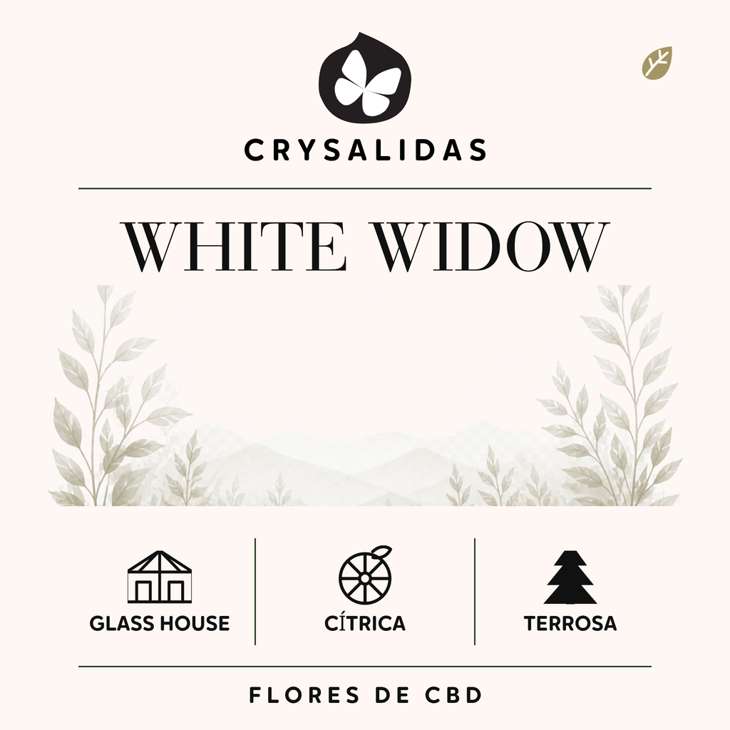 White Widow Glasshouse CBD