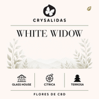 White Widow Glasshouse CBD