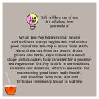 Tea-Pop · Tés Clásicos (6 ud.)