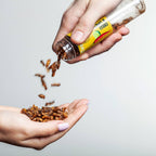 Insectos Comestibles Tostados (Caja de regalo)