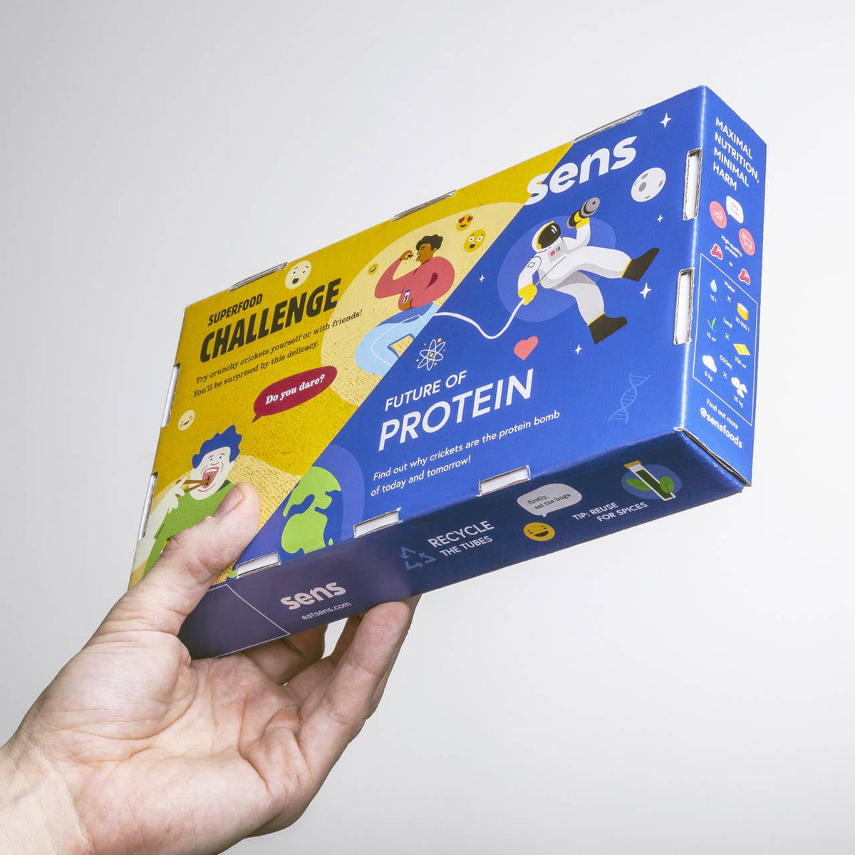 Insectos Comestibles Tostados (Caja de regalo)